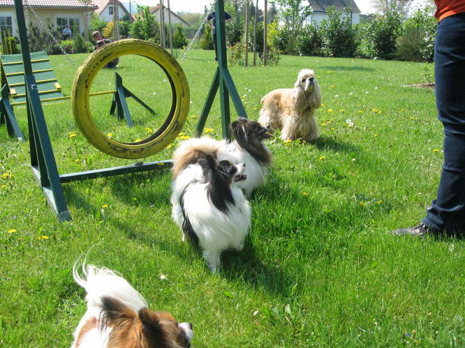 Gibt�s dann eine Belohnung?