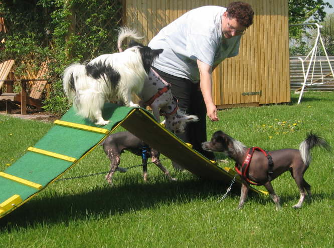 Neo kann�s auch noch