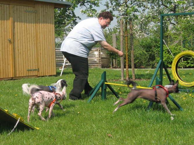 da schummelt doch einer