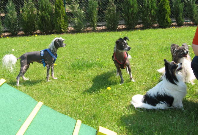 und schauen ganz gespannt