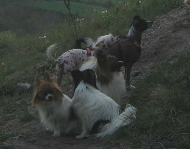 Wo bleiben denn die anderen?