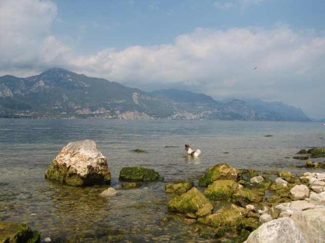 Da bell ich lieber wieder den Stein an.