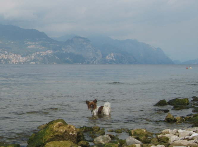 Aber ziemlich gro�.