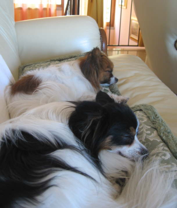 Eine wohlverdiente Ruhepause.