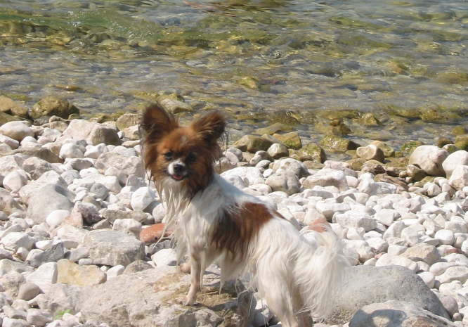 Los Neo, komm doch auch rein.