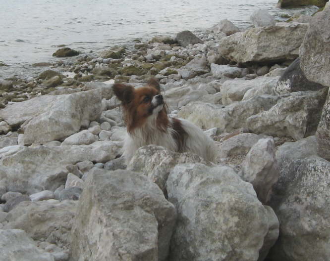 Da hat doch was geraschelt.