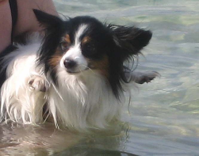 Mist - ich soll mich abk�hlen.