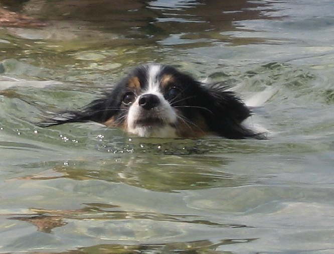 Dann muss ich auch noch schwimmen!