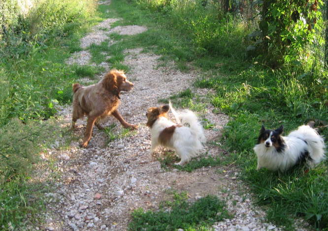 Dabei trafen wir auch gro�e Italiener!