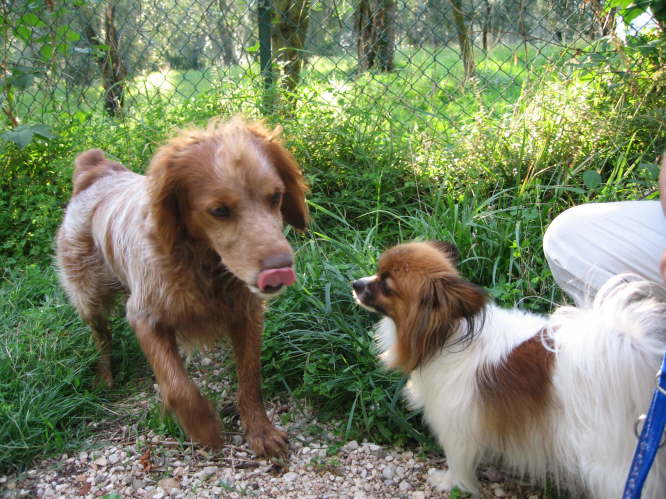 Der wollte Tilli gleich abschlecken.