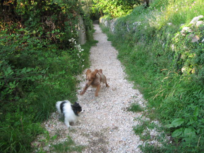 Das gefiel Neo aber gar nicht.