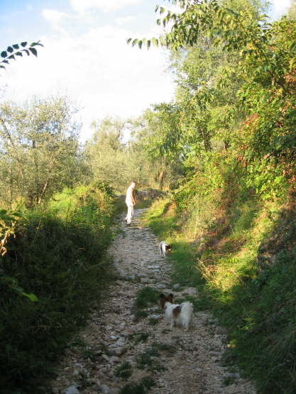 Da musste man ordentlich kraxeln.