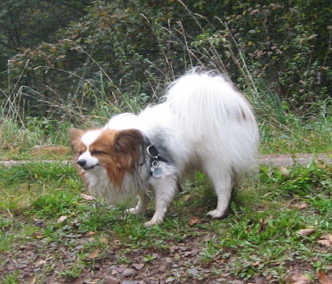 Happy l��t sich�s schmecken