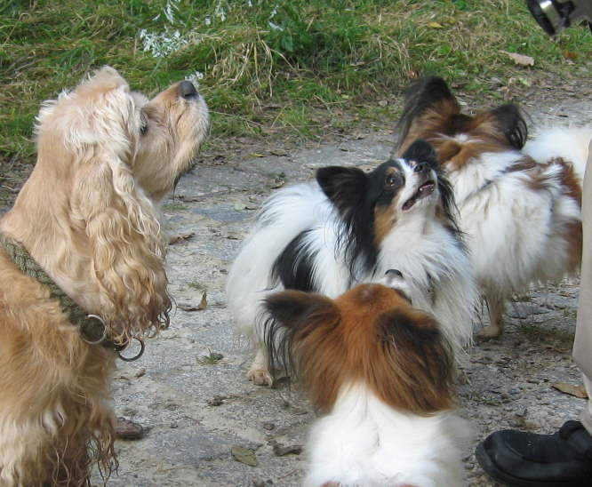 Was gibt�s denn da?