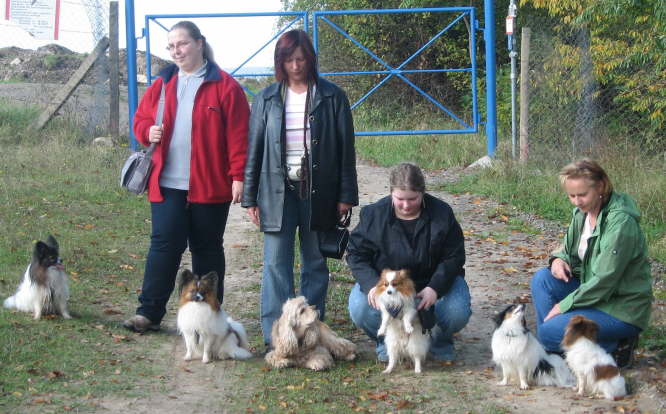 Pelle, Kr�mel, Timmy, Happy, Neo, Tilli.