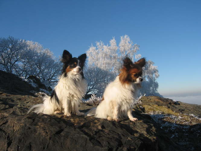 so macht Winter Spa�