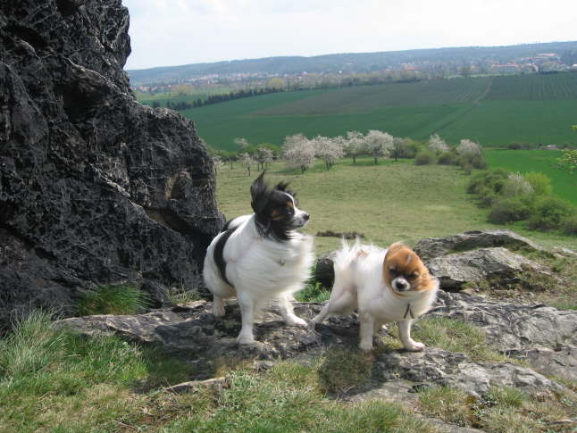 Und manchmal recht strmisch.