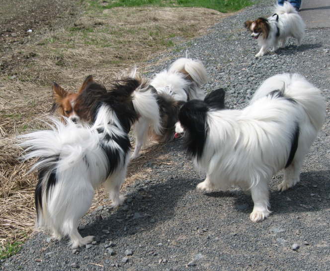 Alle Jungs waren verliebt