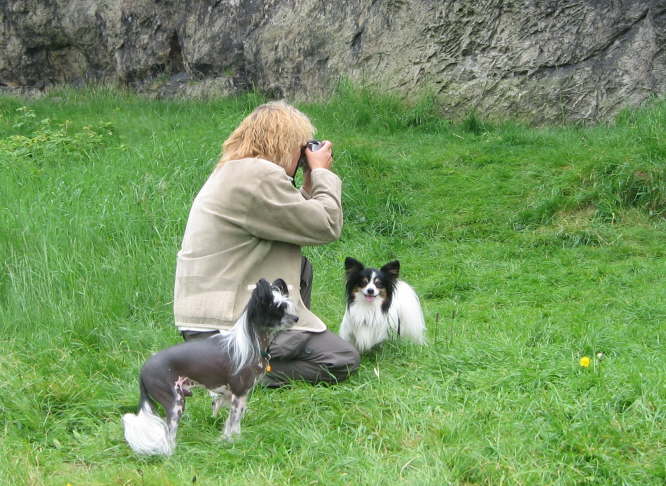 Tine mit Fl� und Neo