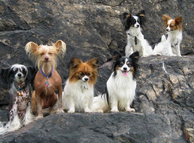 und noch mehr Topmodels