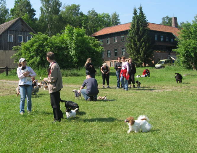 und noch mehr Foris kommen an