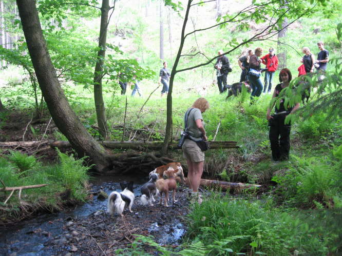 noch eine kleine Erfrischung