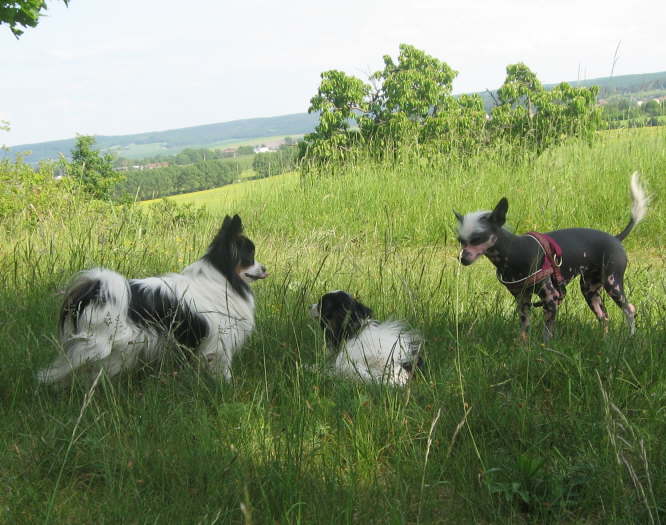 Neo und "seine" Luzi