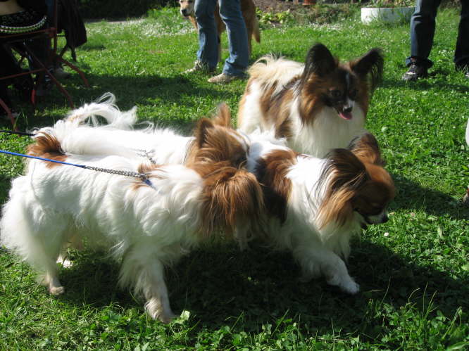 Adi wird beschn�ffelt