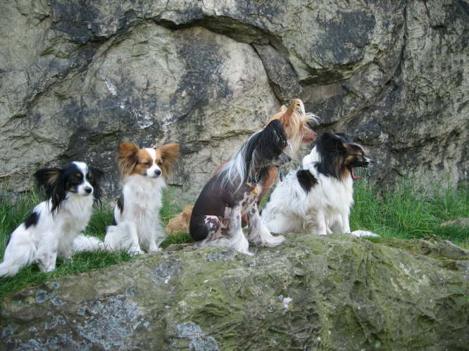 uaaaaah - nochmal ein Shooting