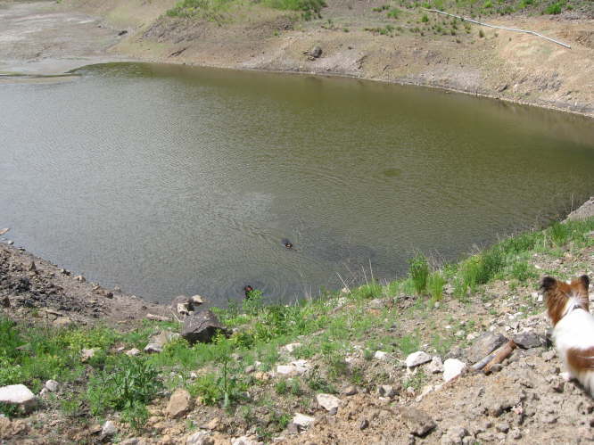 Amy und Geena schwimmen