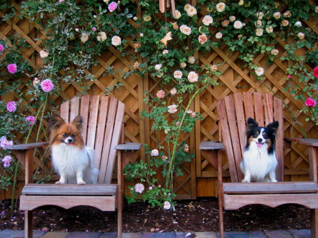 sch�nes Pl�tzchen