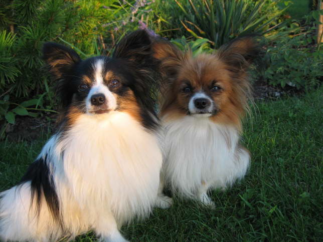 Wieder ein tolles Duo.