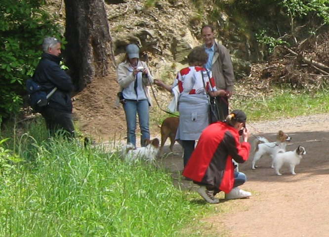 Anne immer in Action