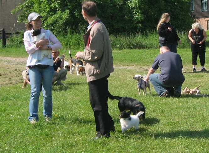 oh, sind die s���������