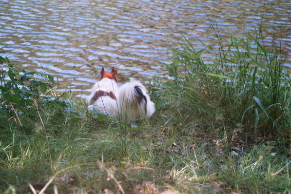 komm, wir gehen schwimmen