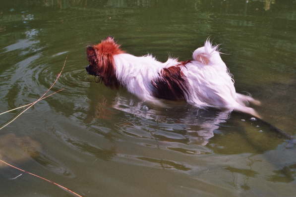 na gut, ich versuchs mal