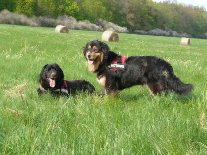 Amy und Geena geh�ren zu Pelle