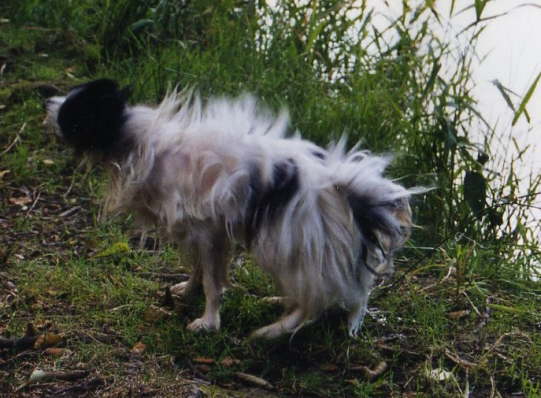 schtteln hilft auch nicht viel