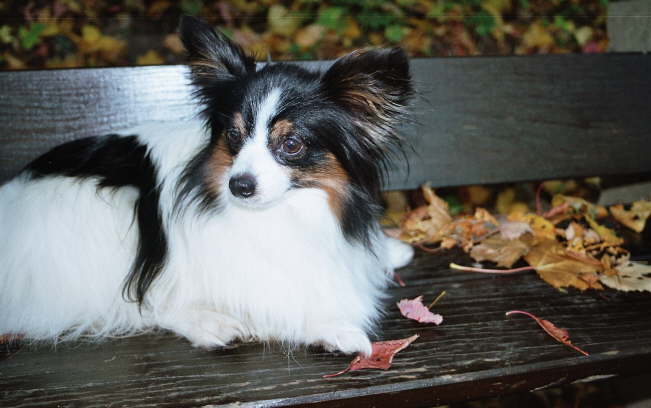 schwarz steht mir gut