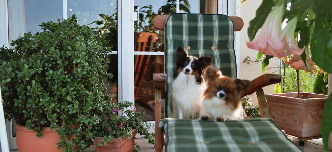 was, es ist schon November