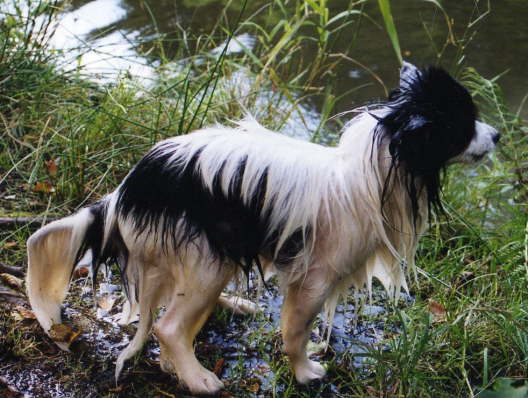 wie ich wieder aussehe